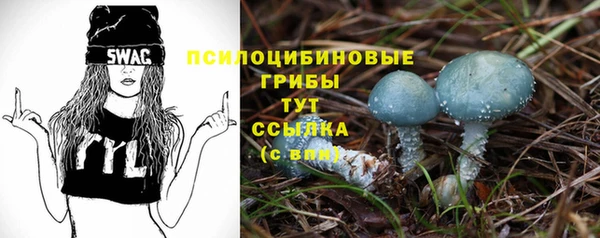 mdpv Алзамай