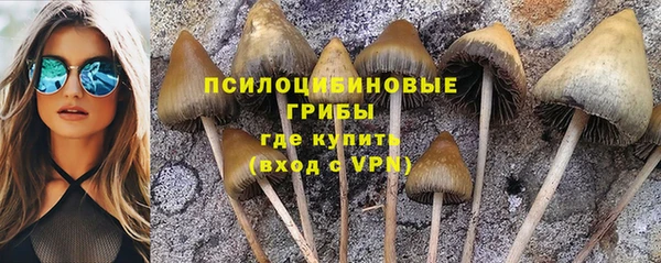 героин Абаза