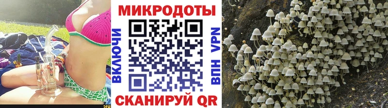 Галлюциногенные грибы GOLDEN TEACHER  сколько стоит  Лабытнанги 